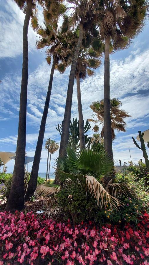 Apartamento A 150 Metros De La Playa Y Del Puerto Deportivo Estepona Dış mekan fotoğraf