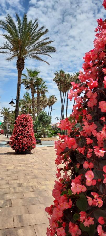 Apartamento A 150 Metros De La Playa Y Del Puerto Deportivo Estepona Dış mekan fotoğraf